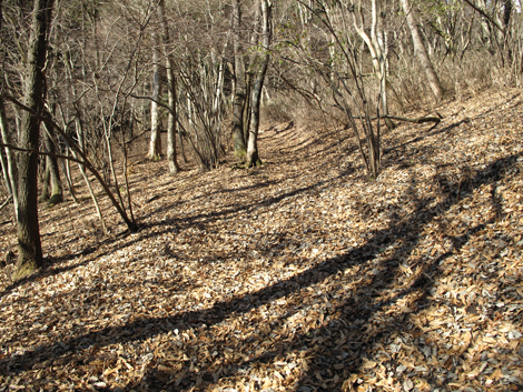 20161216hike (61)